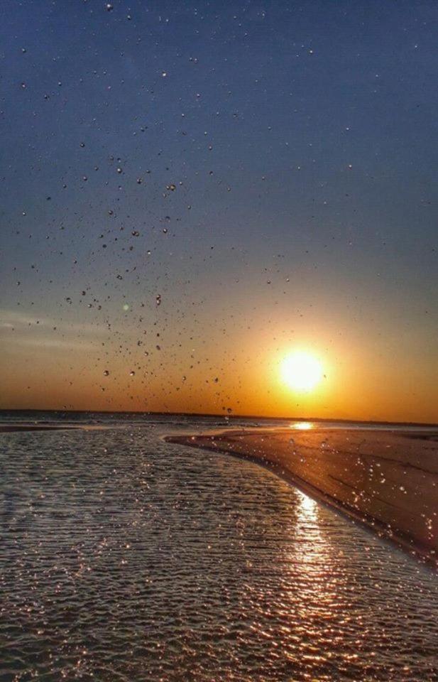 Pousada Praia Mansa - Ana E Agnaldo Superagui Dış mekan fotoğraf
